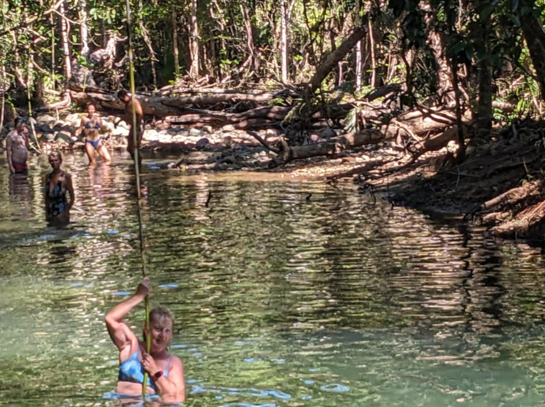 Mason's Swimming Hole-Cape Tribulation必去景点