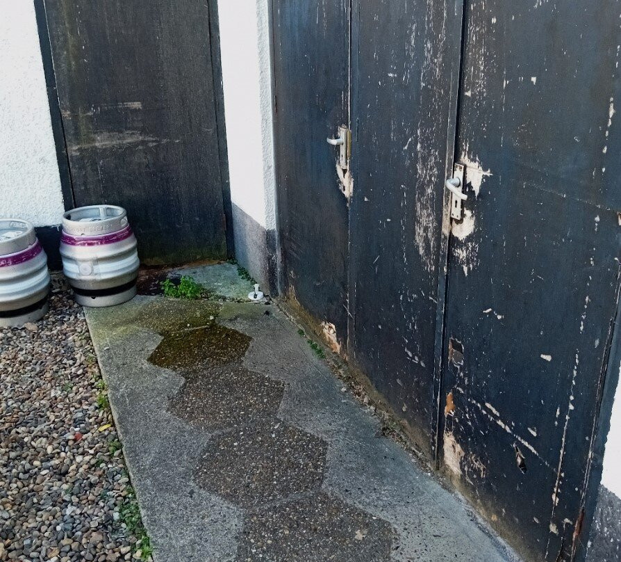 The Willow House主图