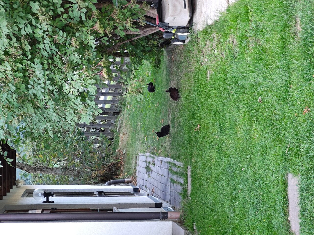 Feldrand hotel主图