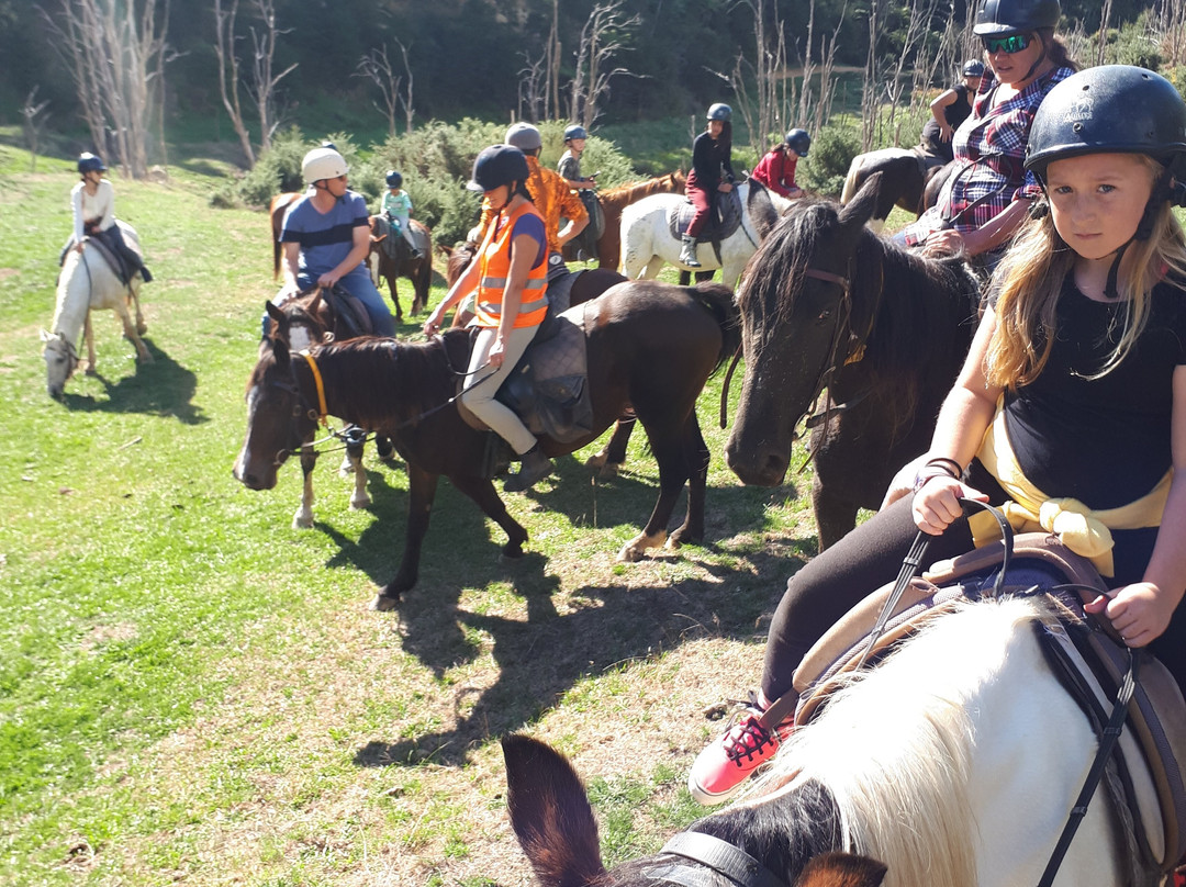 Karamu Trail Track-汉密尔顿必去景点