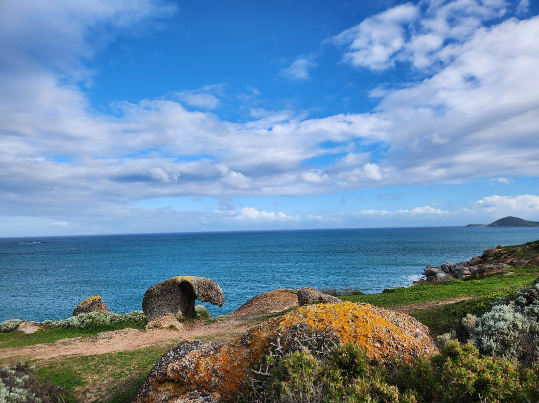 Kaiki Walk - Granite Island-维克多港必去景点