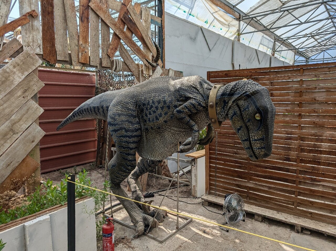 Dinosarium景点图片