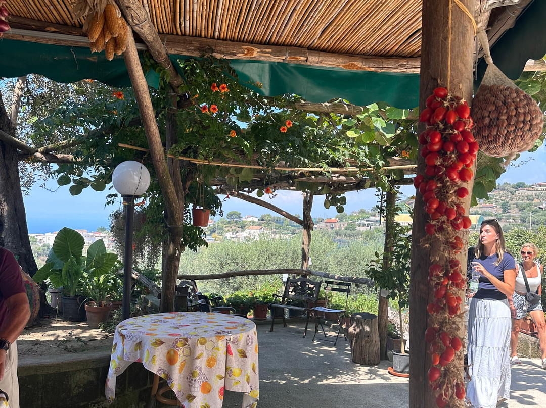 La Masseria Farm Experience景点图片