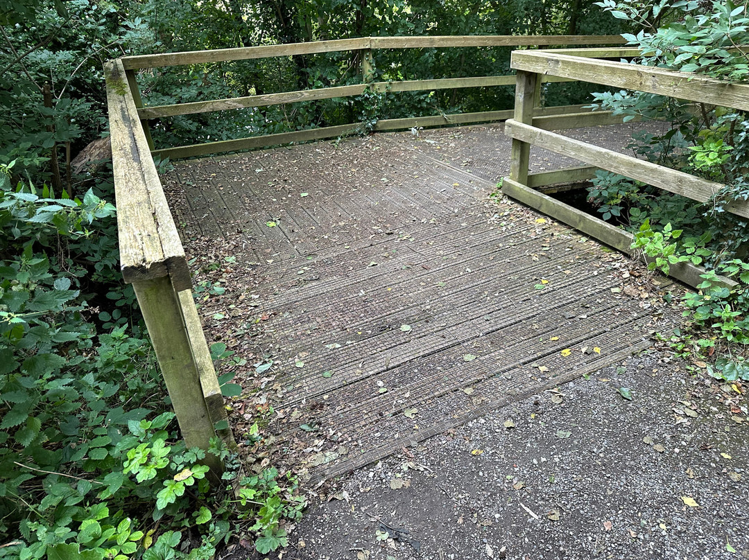 RSPB Burton Mere Wetlands景点图片