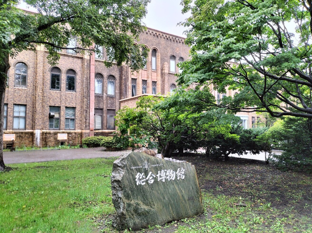 北海道大学博物馆-札幌市必去景点