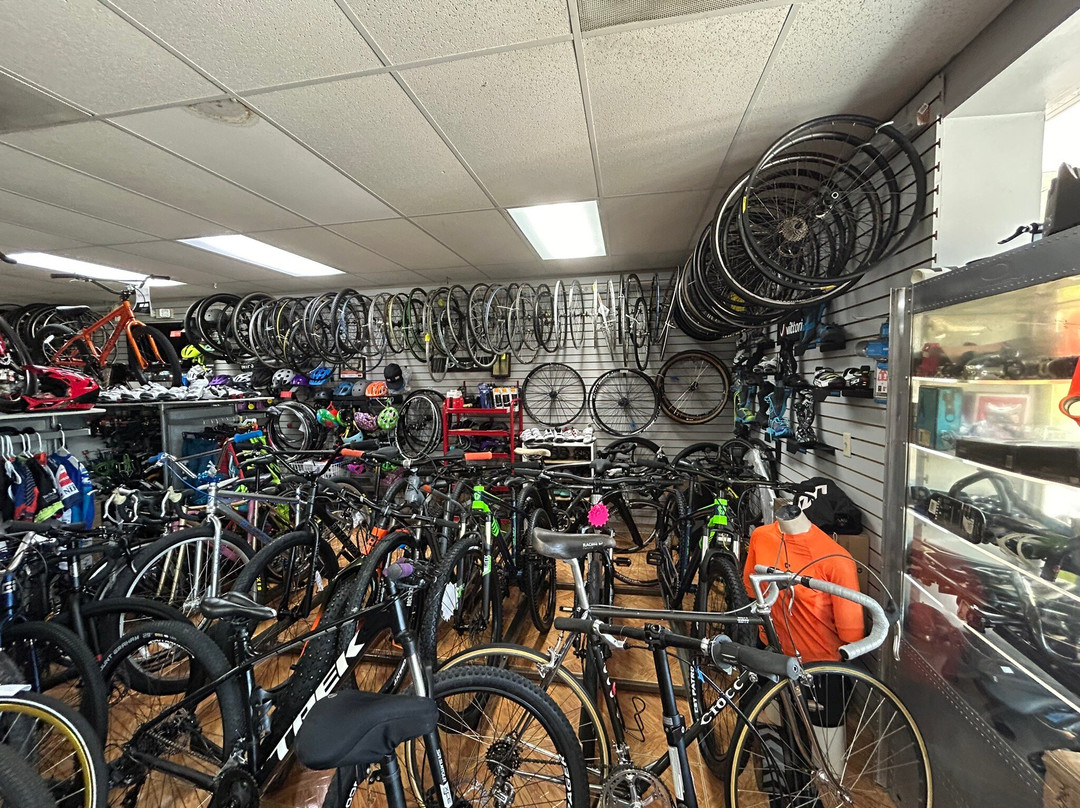 Andante Bikes-Cutler Bay必去景点