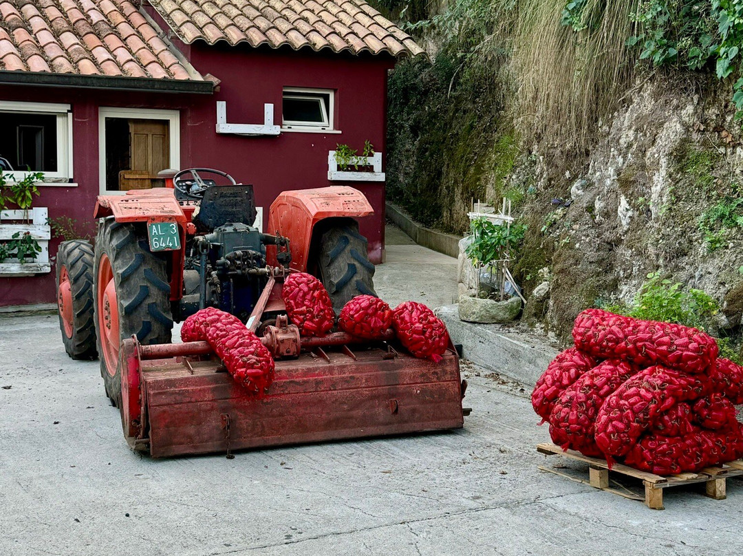 Salumificio Livasì景点图片