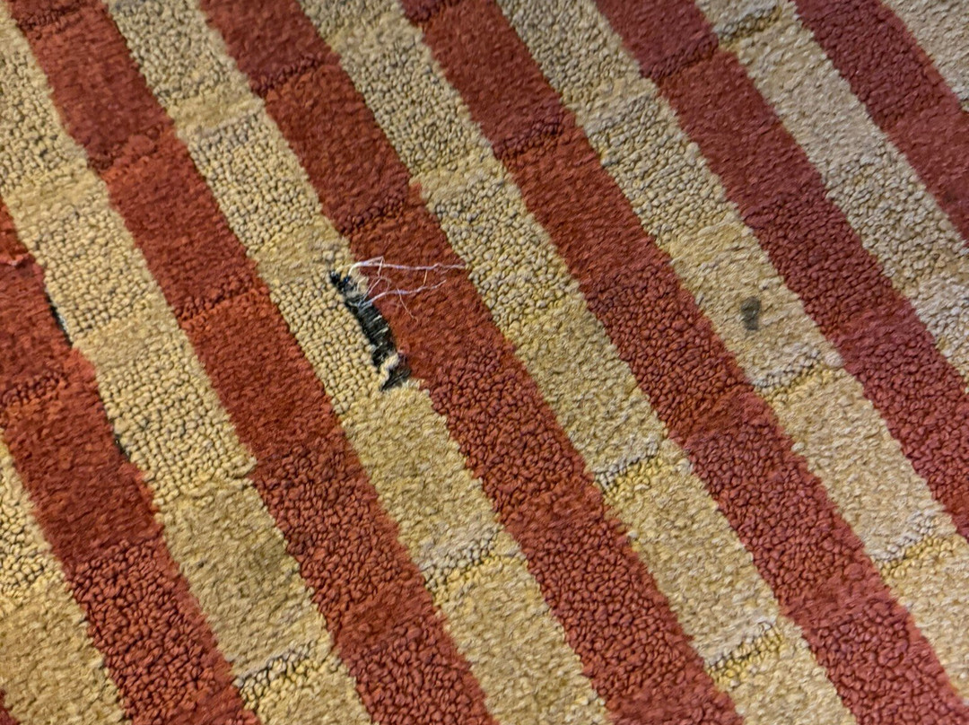 里士满南/南方公园希尔顿花园旅馆主图