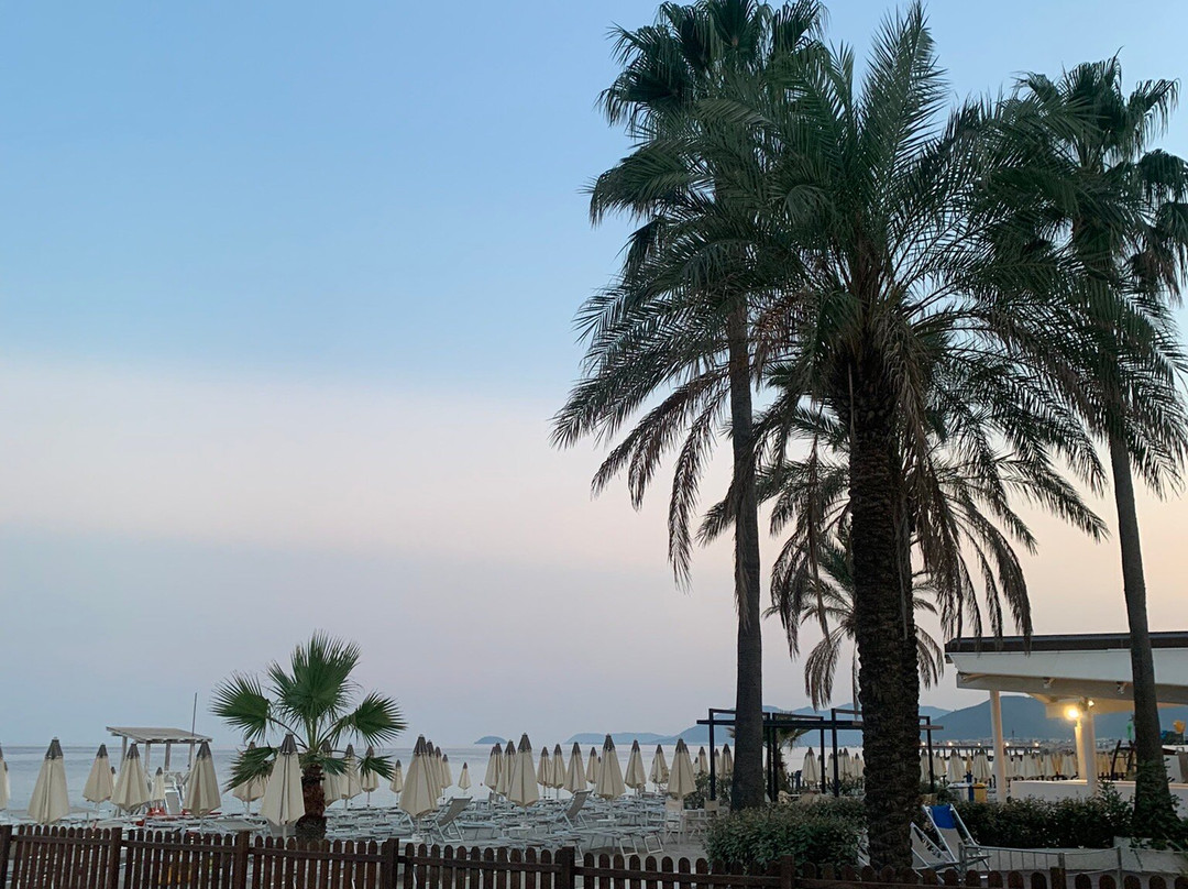 Hotel de la Plage主图