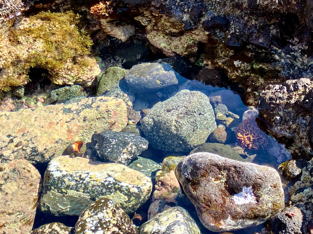 Piscinas Naturales Los Abrigos-Los Abrigos必去景点