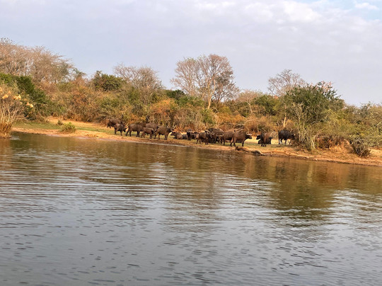 Afri Safaris-吉佳利必去景点