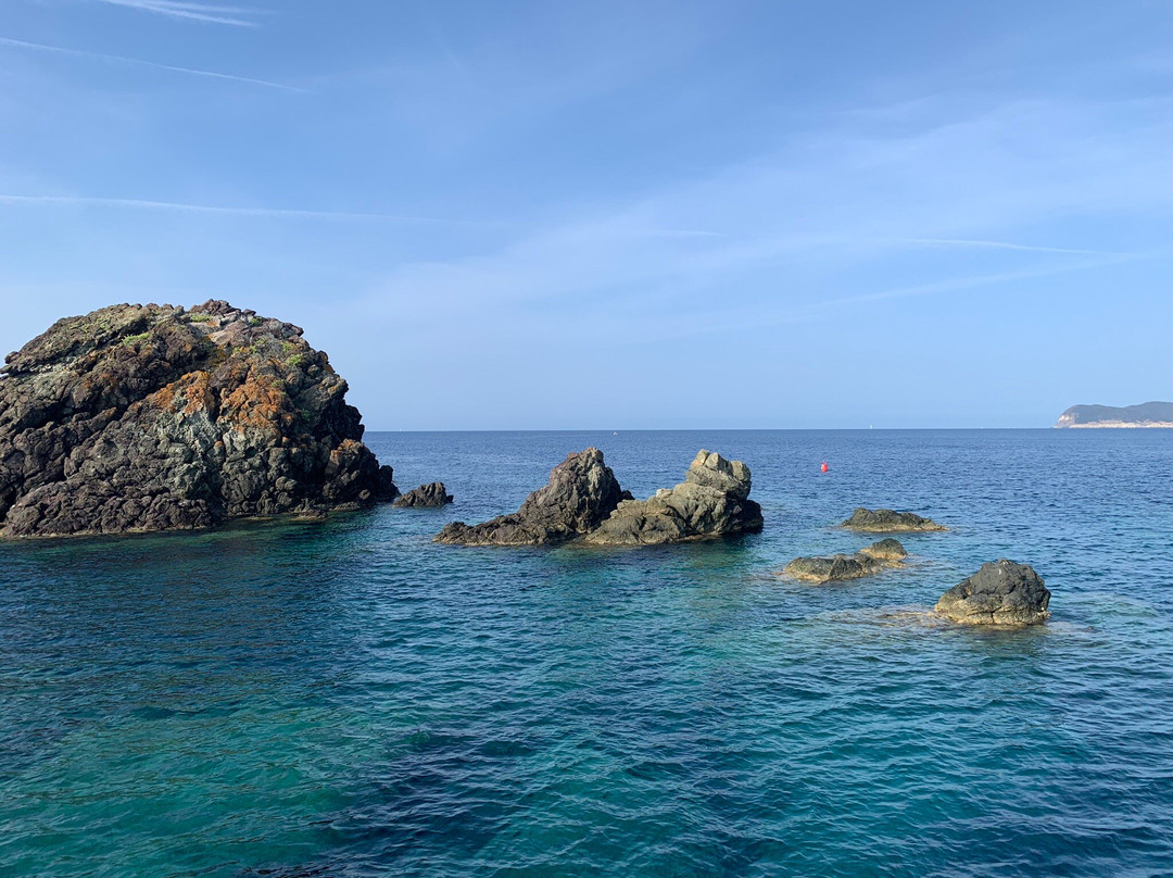 Sub Now Diving Center-Marina di Campo必去景点