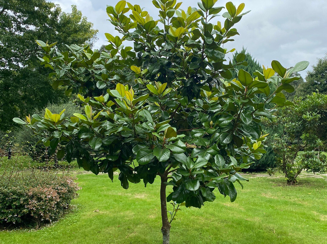 Lugar do Sixto主图