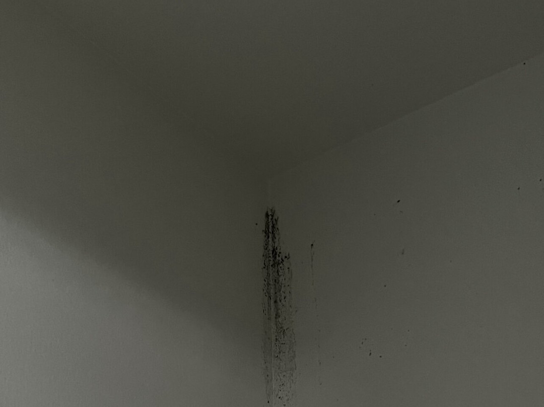 Sea Oats Beach Club主图