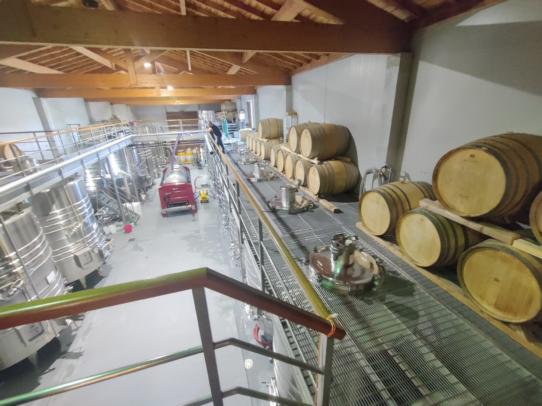 Domaine La Louviere-Malvies必去景点