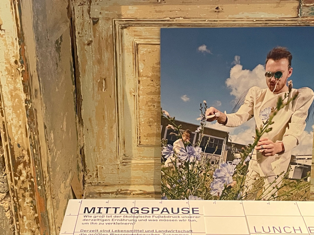 Schloss Hubertusburg-Wermsdorf必去景点