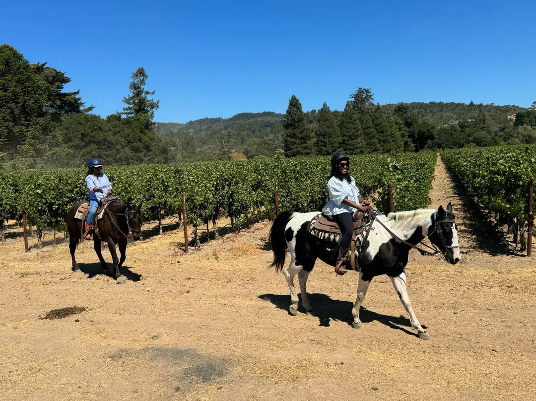 Sonoma Valley Trail Rides景点图片