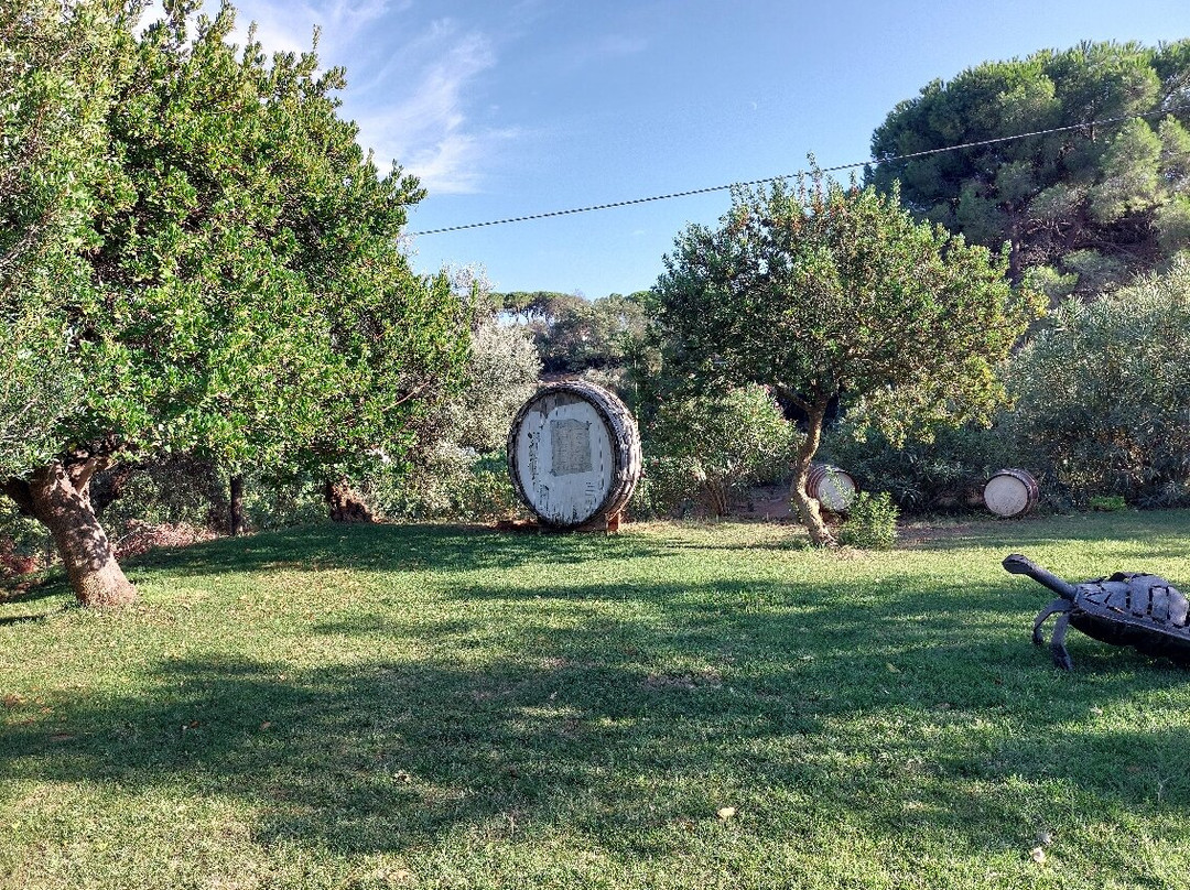 Azienda Agricola Arrighi景点图片