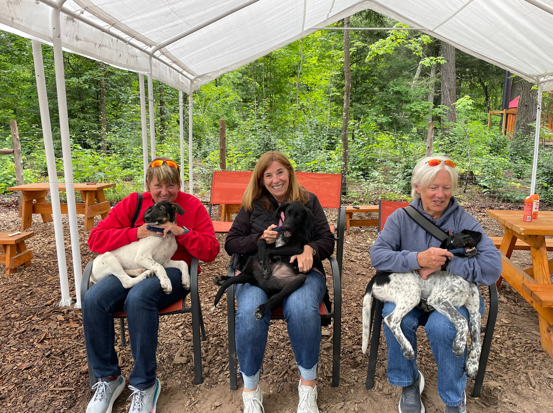 MIDOG - Michigan's Summer Sled Dog Center景点图片