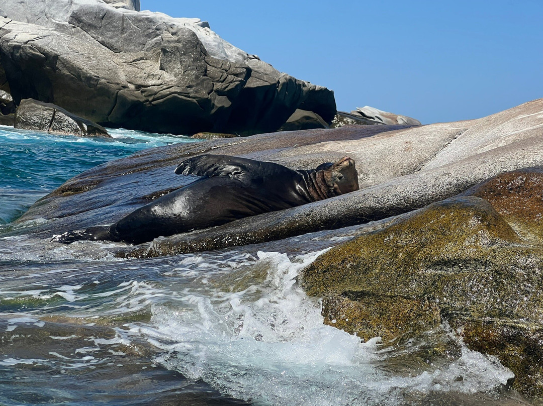 Cabo Pulmo Eco Adventures-Cabo Pulmo必去景点