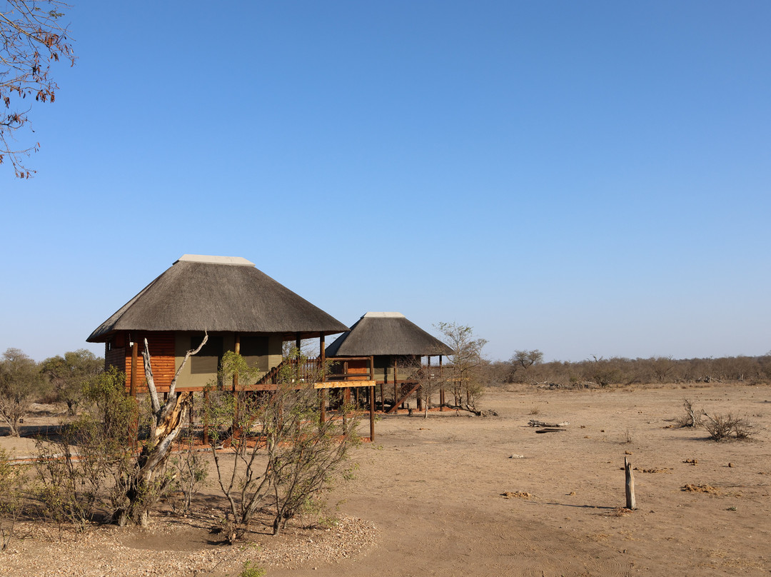 nThambo Tree Camp主图