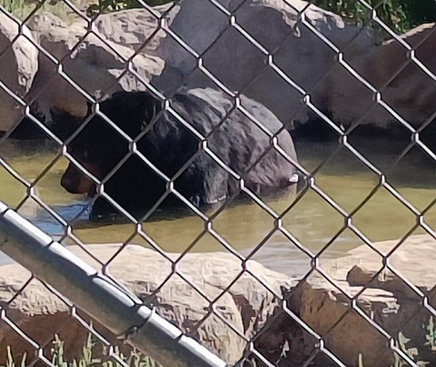 Keepers Of The Wild Nature Park & Wildlife Sanctuary-Valentine必去景点