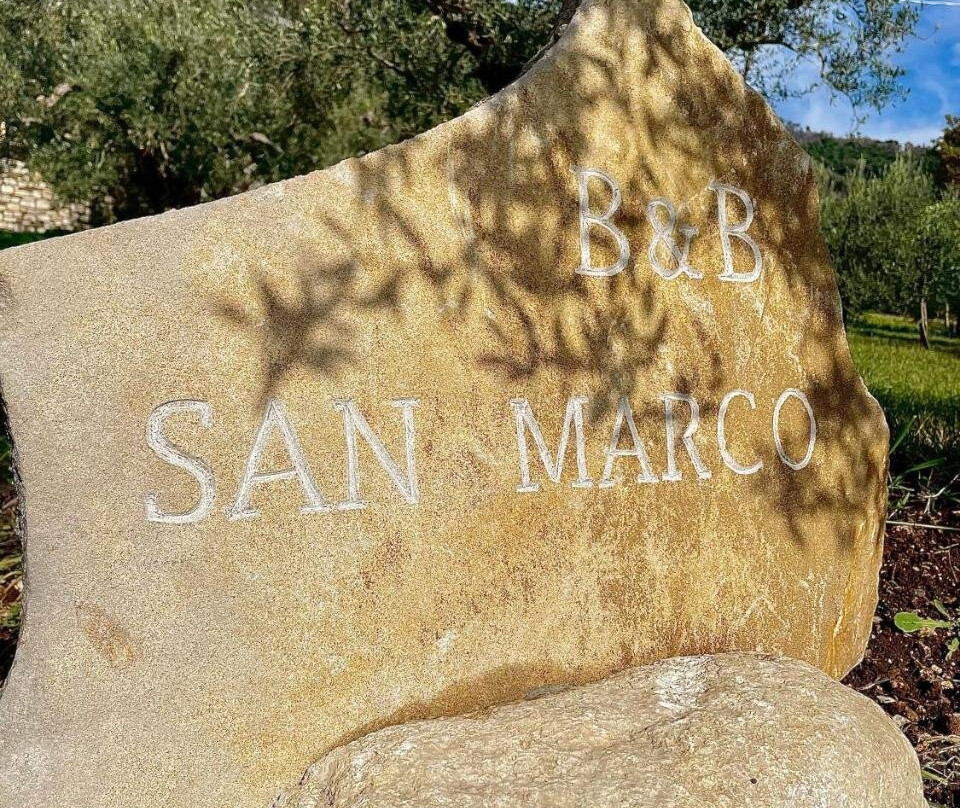 B&B San Marco主图