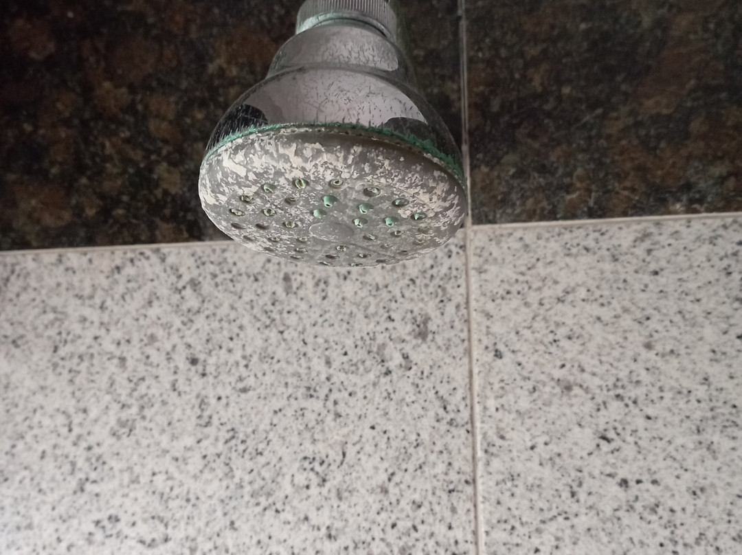 La Casa Verde Hostel主图