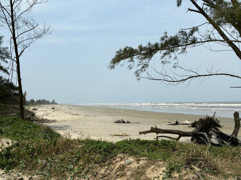 Dunas do Araçá-Ilha Comprida必去景点