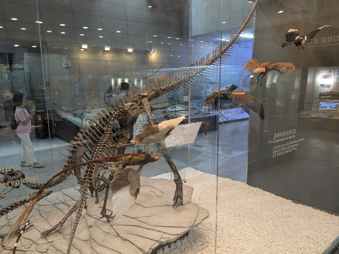 Geological Museum-大田必去景点