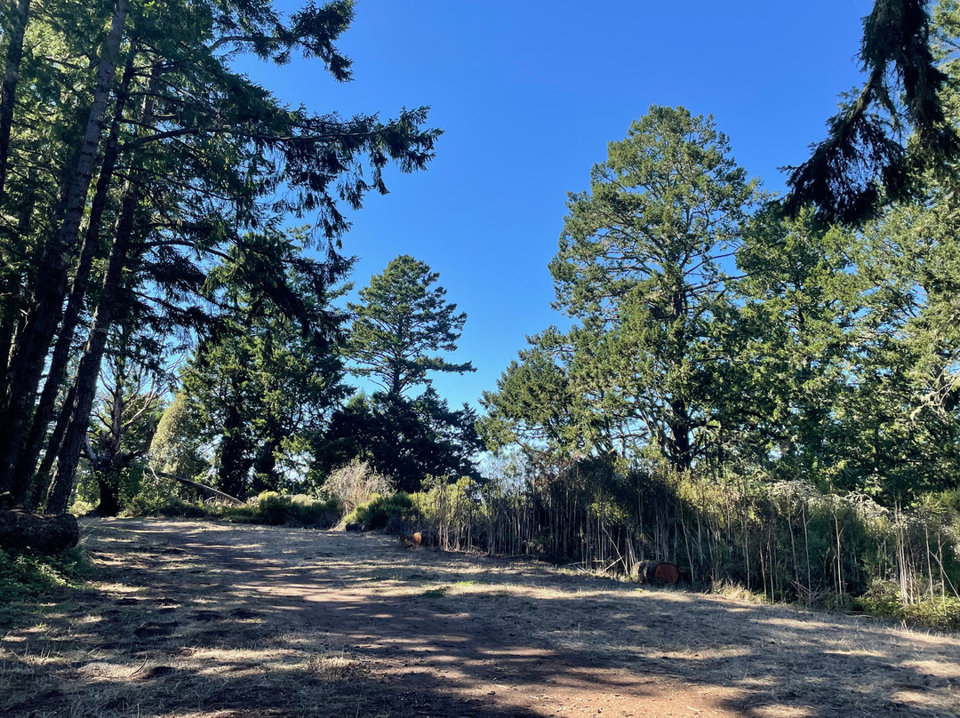 Purisima Creek Redwoods-Woodside必去景点