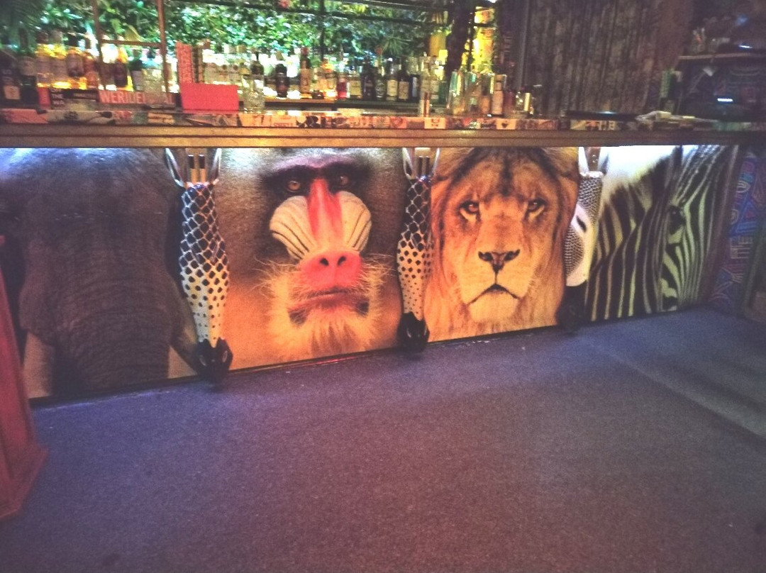 Drunk Seal Cocktail Bar-Patitiri必去景点