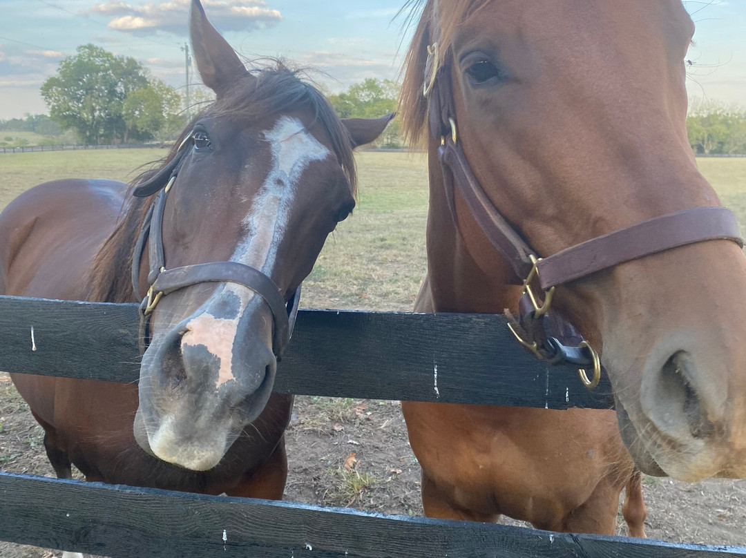 The Guesthouse at Rosecrest Farm主图