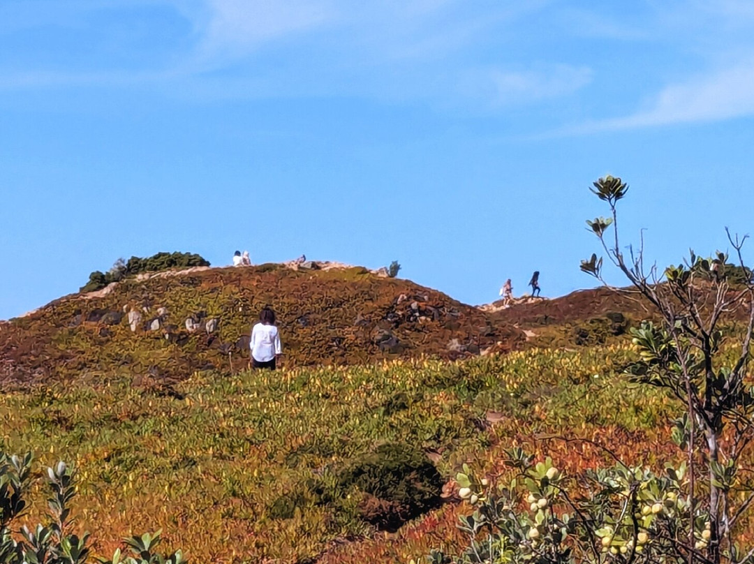 Praia da Aroeira景点图片