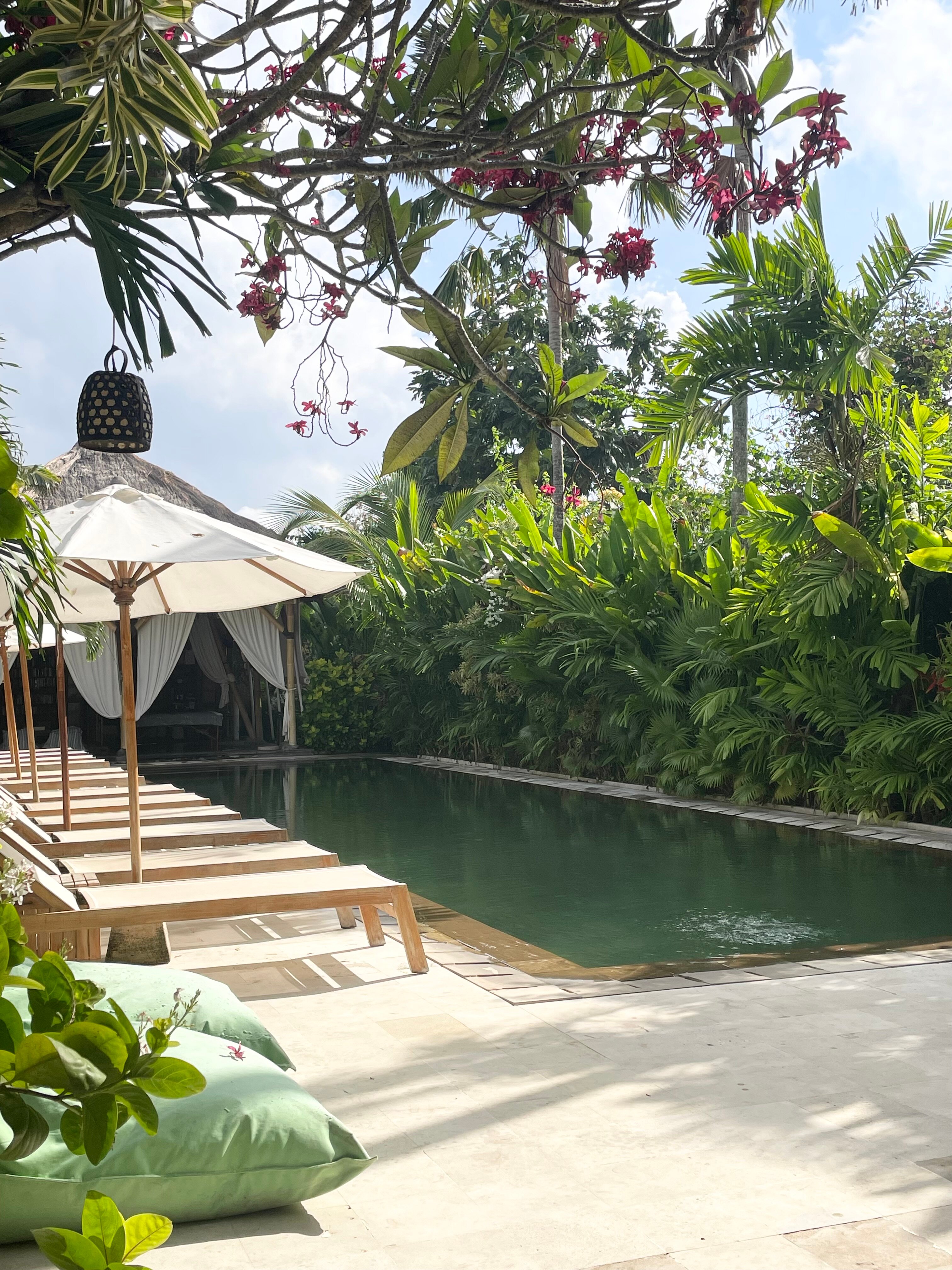 The Open House Bali-泳池