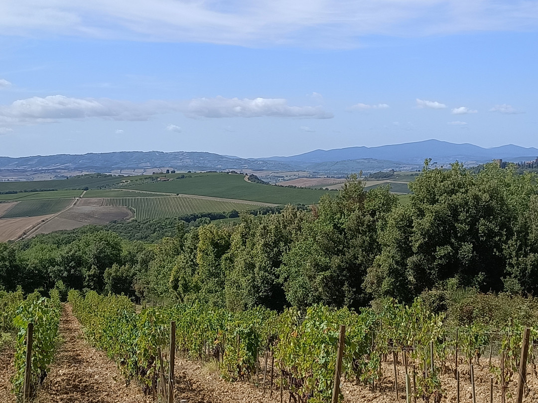 Borgo Di Sant'angelo In Colle-Sant'Angelo in Colle必去景点