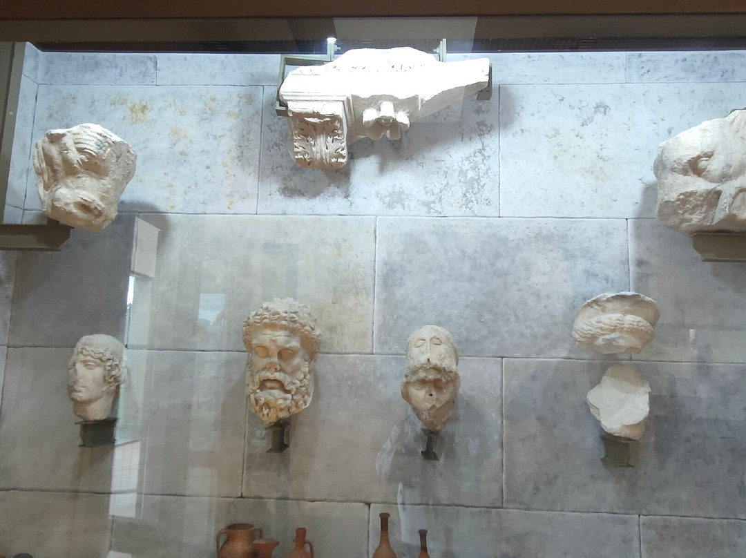 Museo dei Gladiatori景点图片