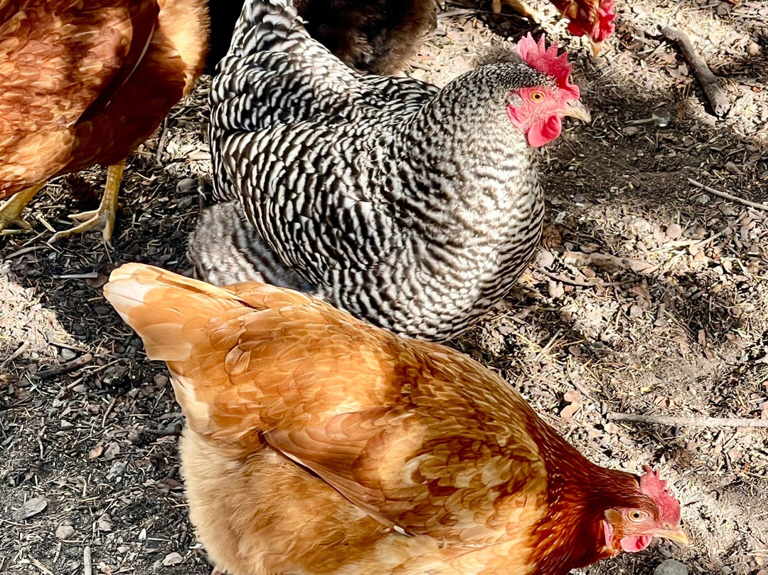 路尽头民宿主图