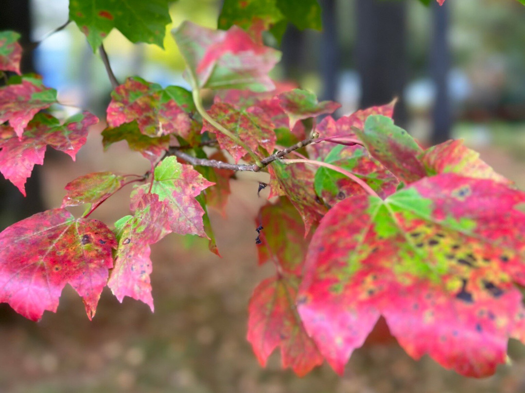 Wilson Lake Inn主图