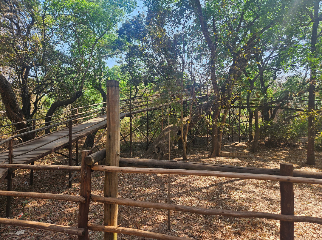 Nature Sanctuary-里朗威必去景点