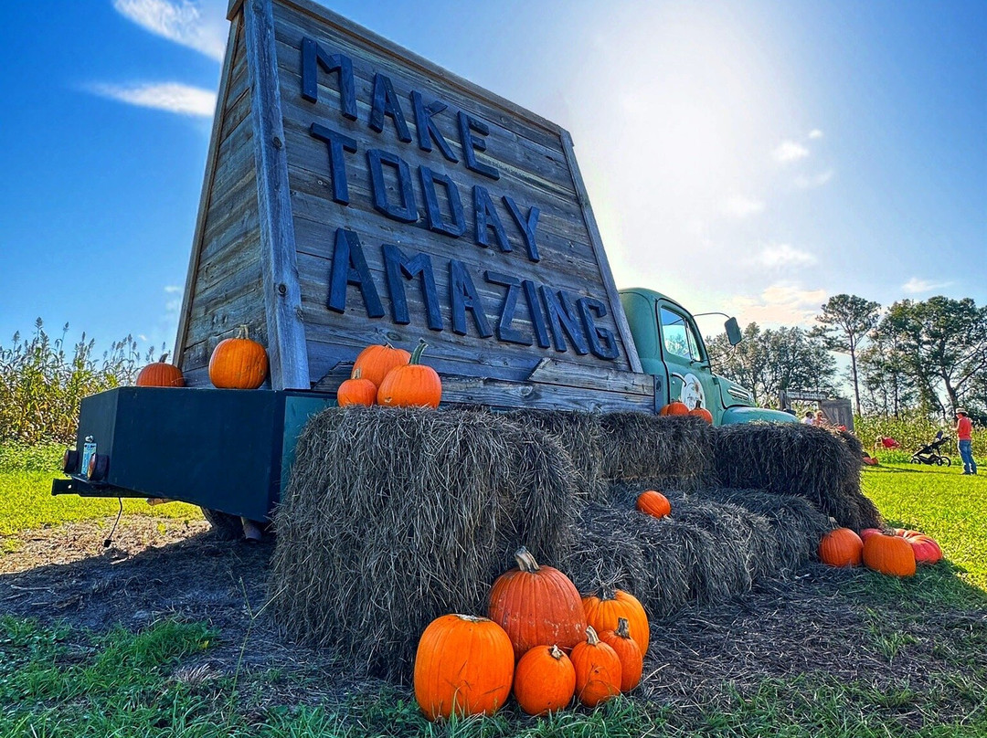 Amazing Grace Family Farms-Green Cove Springs必去景点