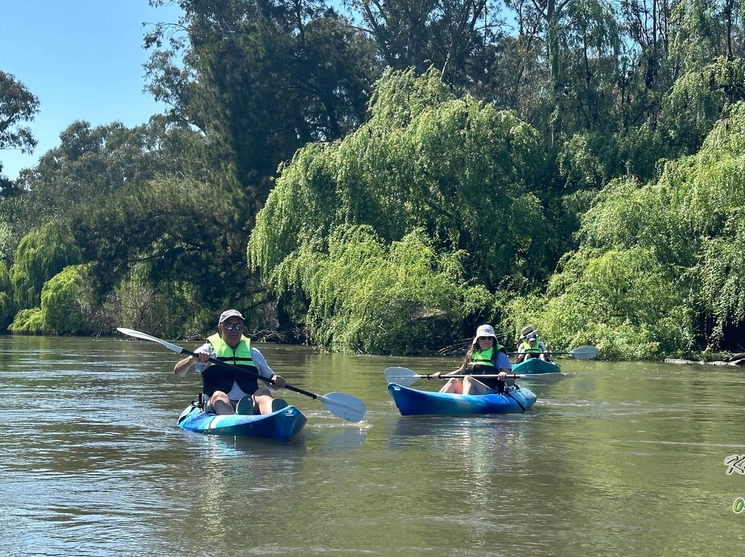 In Motion Fitness Kayak Tours & Hire-沃加沃加必去景点