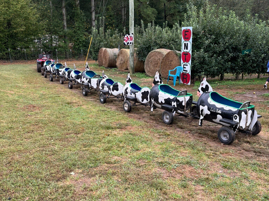 Hillcrest Orchards-Ellijay必去景点