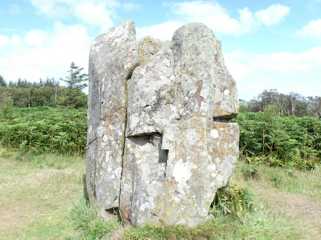 Kingarth Standing Stones景点图片