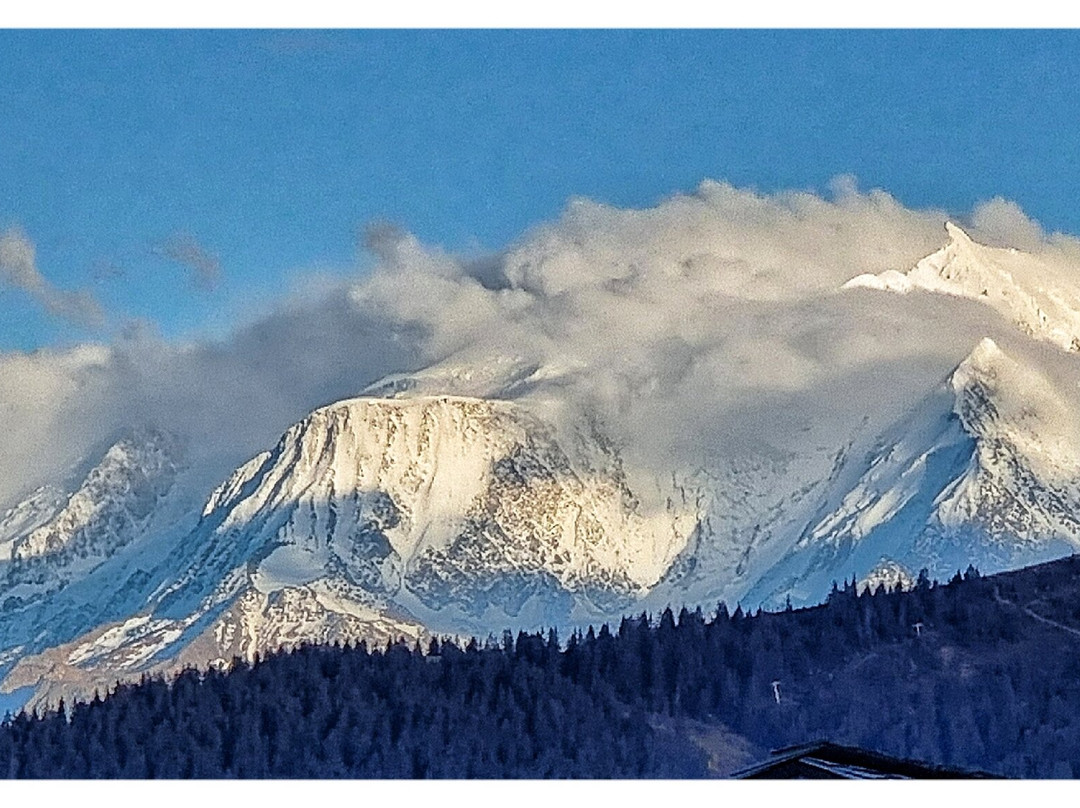 Col des Aravis景点图片
