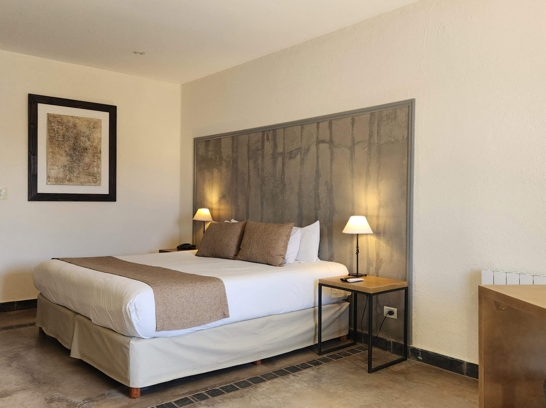 Villa Mansa Wine Hotel & Spa主图