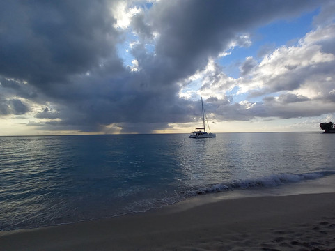 Ward's Tours Ltd.-布里奇顿必去景点