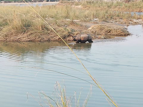 奇塔尔旅馆主图