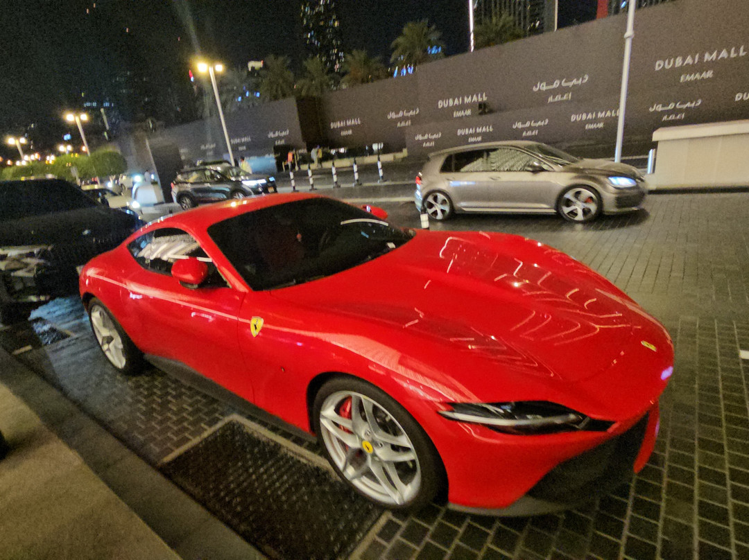 Laser Travel and Tours P.LTD景点图片
