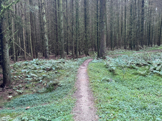 South Moor Farm主图